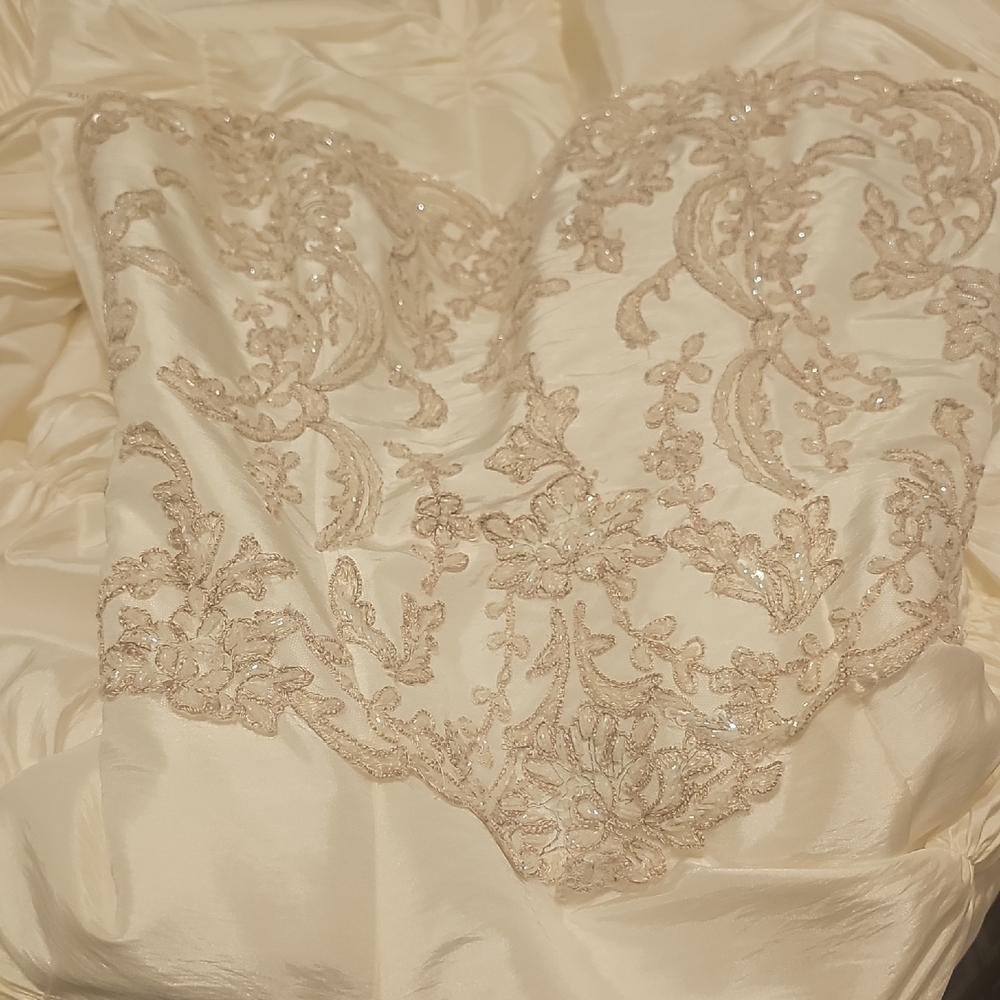 David's Bridal Ivory Champagne Bustier